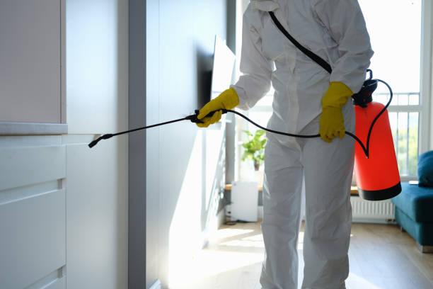 Best Attic Mold Remediation in Pearl River, NY