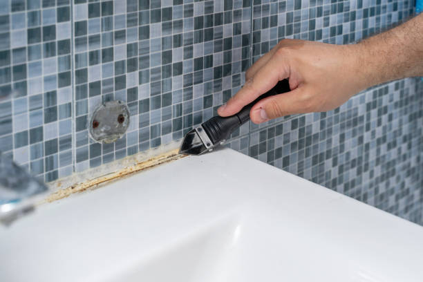 Best DIY Mold Remediation Support Services in Pearl River, NY